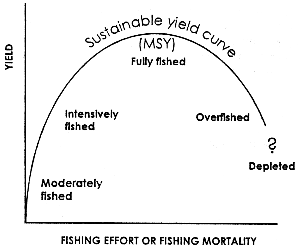 File:Maximum-sustainable-yield-of-fish-with-addition.png - Wikipedia